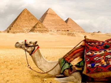 Митні правила Єгипту - що можна і що заборонено ввозити і вивозити